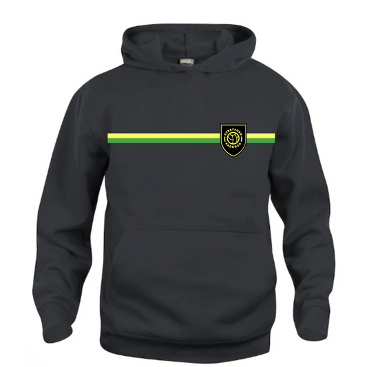 Green & Gold Pride Oversized Hoodie